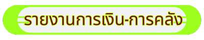 รายงานการเงิน-การคลัง